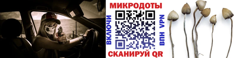 Псилоцибиновые грибы Psilocybe  Апрелевка 