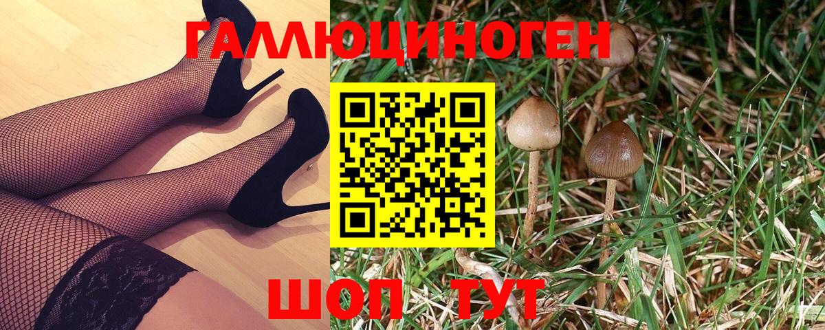 Галлюциногенные грибы ЛСД Апрелевка