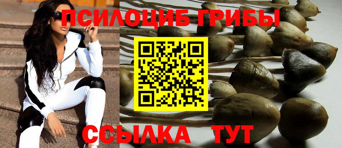 Галлюциногенные грибы ЛСД Апрелевка
