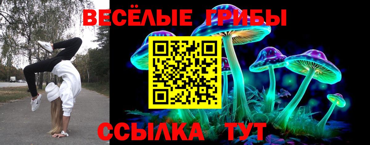 цены   Галлюциногенные грибы ЛСД  Вход с VPN  Галлюциногенные грибы ЛСД  Апрелевка 